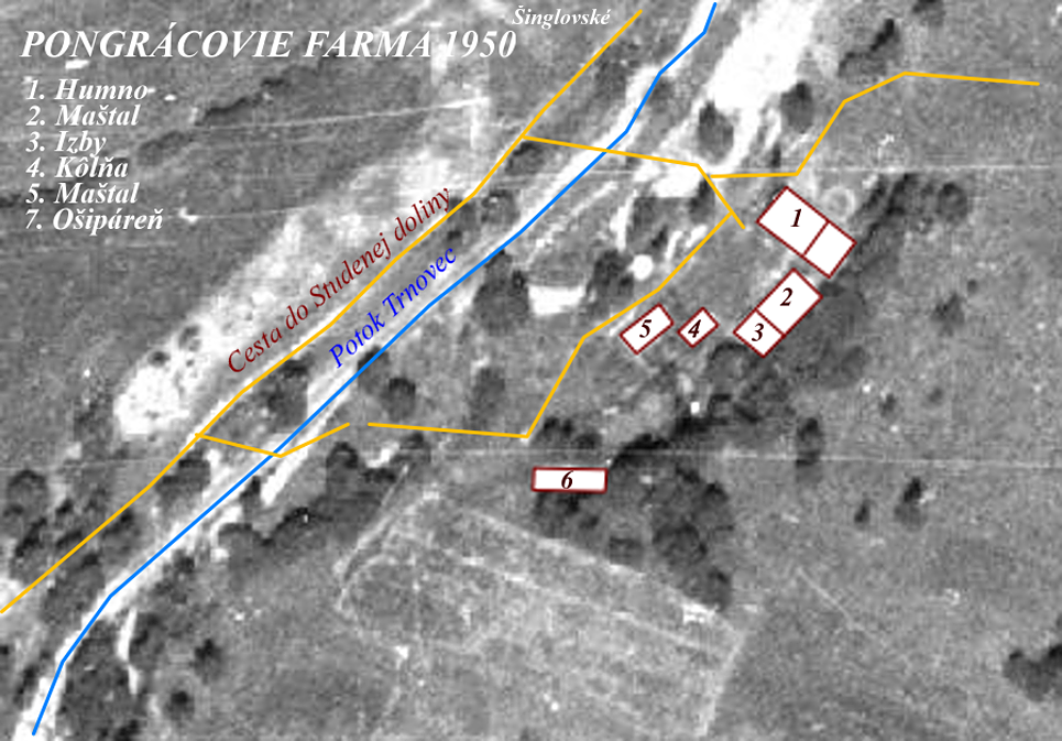 Z6-Pongrác 1950 (Bunky)